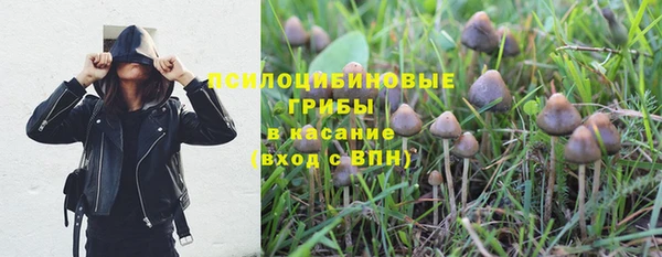 прущая мука Бородино