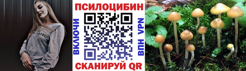Галлюциногенные грибы Magic Shrooms  Балашиха 